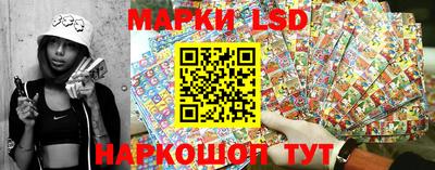 дмт Будённовск